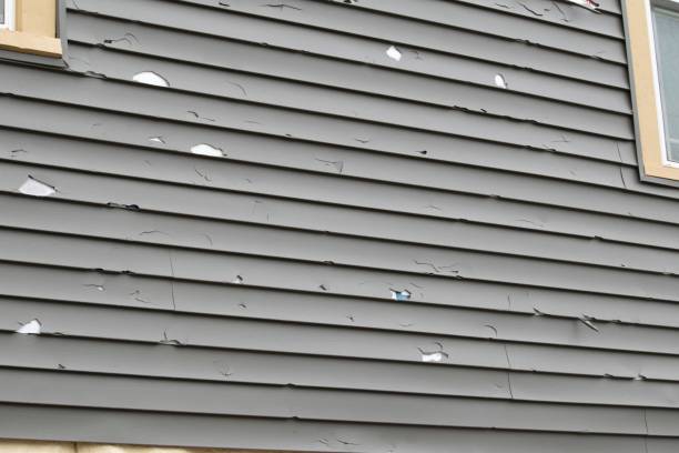 Same-Day Junk Removal Services in Campbell, MO